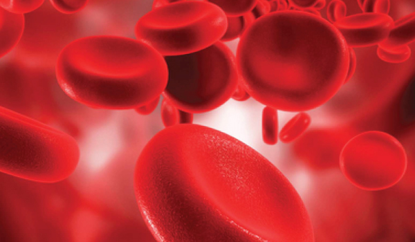 Internal Medicine Welcome Image